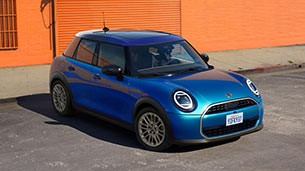 Placeholder alt text